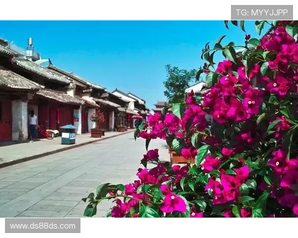 低调看直播r：畅享赛事不打扰的静谧时光